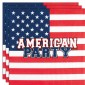 20 Napkins USA (33 x 33 cm)