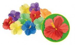 Buy 24 Flower Embellishments Hibiscus in Kuwait