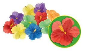 24 Flower Embellishments Hibiscus