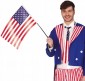 American Flag