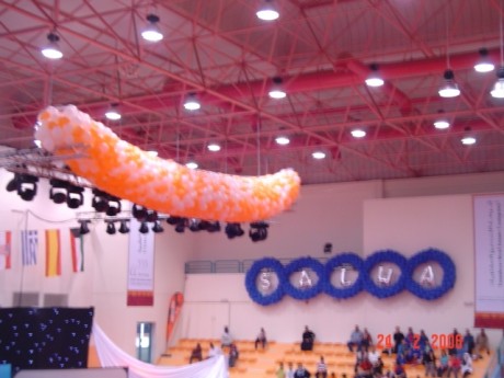 Balloons Drop