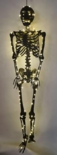  Black Skeleton in Kuwait