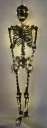 Black skeleton