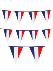 Buy Bunting France in Kuwait