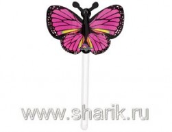 Buy Butterfly Balloon in Kuwait