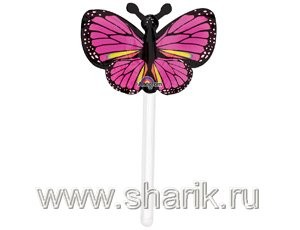  Butterfly Balloon in Nahdha