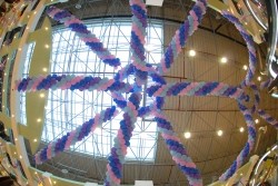  Ceiling Decoration in Kuwait
