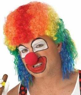  Clown Mullet Wig Costumes in Kuwait