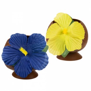  Coconut Cup (2 Asstd. Colours) Costumes in Kuwait
