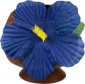 Coconut Cup (2 ASSTD. COLOURS)