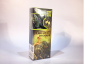 Dinosaur Excavation KIT 3D (TOROSAURUS)