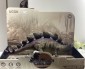 Dinosaur Series - Tector Stegosaurus with sounds