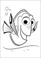 Dory Coloring Book