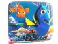 Dory Lunch Box Kit