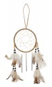 Dreamcatcher Indians