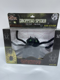  Dropping Black Spider in Kuwait
