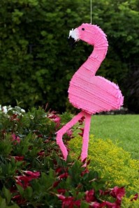  Flamingo Costumes in Nuzha