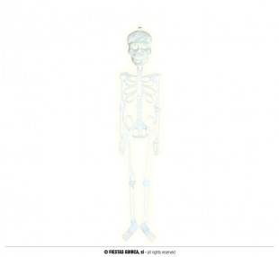  Fluorescent Skeleton 75cm in Kuwait