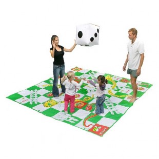  Giant Snakes And Ladders in Kuwait