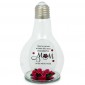 GLASS BULB QUOTATION- MOM