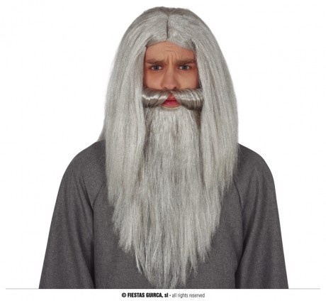 Gray Beard Wig (box in container)