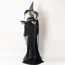 Buy Green Face Witch in Kuwait