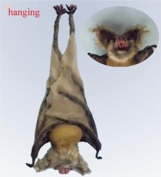 Buy Hanging Bat in Kuwait