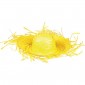 Hawaiian Boland Strohoed Paradise Hat