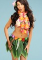 Hawaiian Skirt Palm Leaf