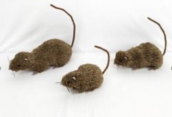 Buy Large Rat For Decoration in Kuwait