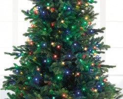 Buy Led Basic Lights 8 Function Twinkle Effect Outdoor in Kuwait