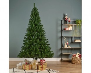  Monarch Pine 300 in Kuwait