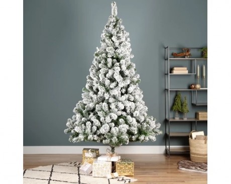 Monarch pine snowy 210