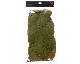  Moss Natural in Sideeq