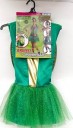 Ninja Turtles Raphael or Leonardo Girl Costume 8-10