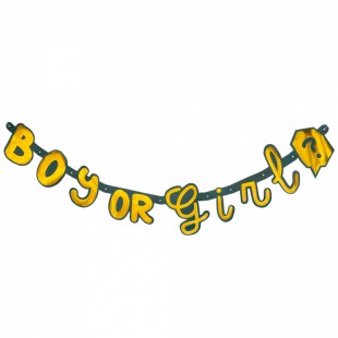 Buy Pc. Cardboard Letter Banner 'boy Or Girl' (130 Cm) in Manqaf