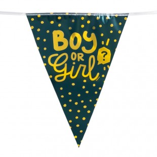 Buy Pc. Pe Bunting 'boy Or Girl' (30x20x600 Cm) in Ardhiyah