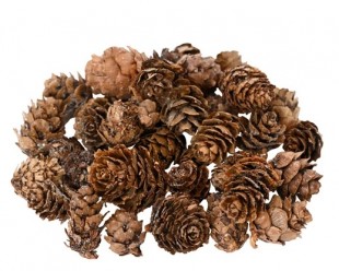  Pinecone Natural Glitter in Qurtuba
