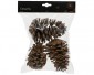 Pinecone natural L