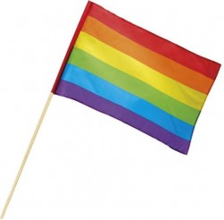 Buy Polyester Hand Flag Rainbow 30x45 Cm in Kuwait