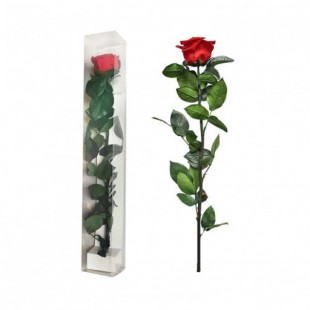  Preserved Rose In Acrylic Long Box  in Kuwait
