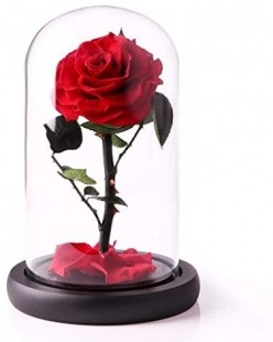  Preserved Rose In Cylinder Glass Large in Hateen