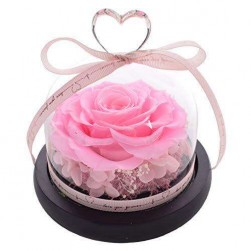Buy Preserved Rose In Cylinder Glass Small in Kuwait