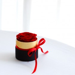 Buy Preserved Rose In Mini Cylinder Box With Cover in Kuwait