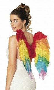  Rainbow Feather Angel Wings  Costumes in Al Qurain