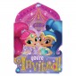 Shimmer & Shine Invitations