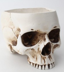 Buy Skull Flower Pot (white) in Kuwait