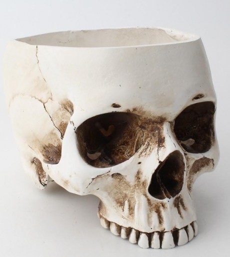 Skull flower pot (white)