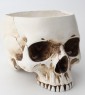 Skull flower pot (white)