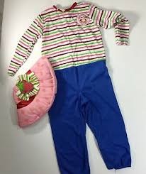  Strawberry Shortcake Adult Costume Accessories in Sideeq